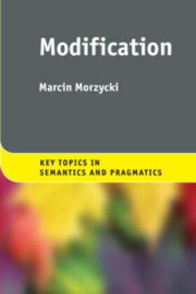 Morzycki |  Modification | Buch |  Sack Fachmedien