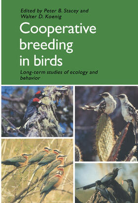 Koenig / Stacey |  Cooperative Breeding in Birds | Buch |  Sack Fachmedien