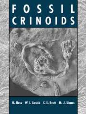 Hess / Ausich / Brett |  Fossil Crinoids | Buch |  Sack Fachmedien