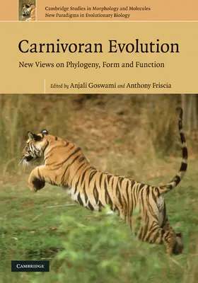 Friscia / Goswami |  Carnivoran Evolution | Buch |  Sack Fachmedien