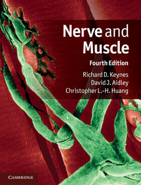 Keynes / Aidley / Huang |  Nerve and Muscle | Buch |  Sack Fachmedien