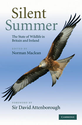 Maclean | Silent Summer | Buch | 978-0-521-51966-3 | sack.de