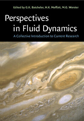 Batchelor / Moffatt / Worster |  Perspectives in Fluid Dynamics | Buch |  Sack Fachmedien