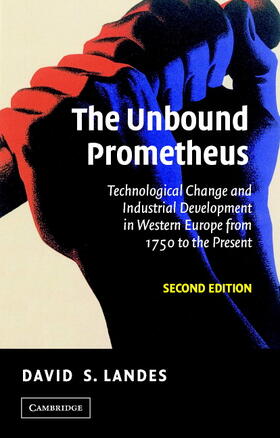 Landes |  The Unbound Prometheus | Buch |  Sack Fachmedien