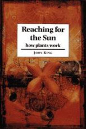 King |  Reaching for the Sun | Buch |  Sack Fachmedien