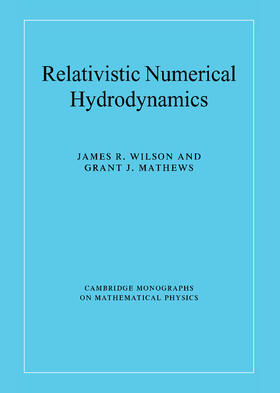 Wilson / Mathews |  Relativistic Numerical Hydrodynamics | Buch |  Sack Fachmedien