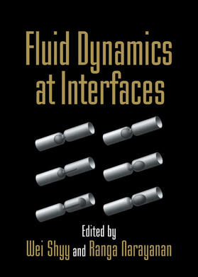 Narayanan / Shyy |  Fluid Dynamics at Interfaces | Buch |  Sack Fachmedien