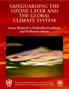  Safeguarding the Ozone Layer and the Global Climate System | Buch |  Sack Fachmedien