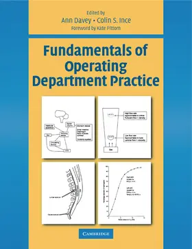 Davey / Ince |  Fundamentals of Operating Department Practice | Buch |  Sack Fachmedien