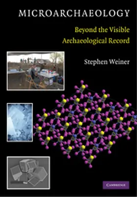 Weiner |  Microarchaeology | Buch |  Sack Fachmedien