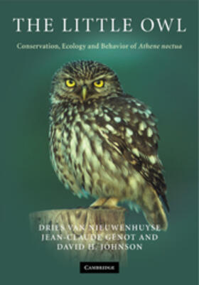 Van Nieuwenhuyse / Génot / Genot |  The Little Owl | Buch |  Sack Fachmedien