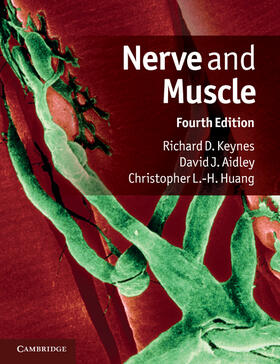 Keynes / Aidley / Huang |  Nerve and Muscle | Buch |  Sack Fachmedien