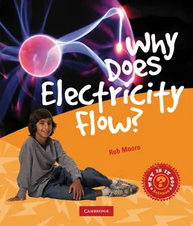 Moore |  Why Does Electricity Flow? | Buch |  Sack Fachmedien