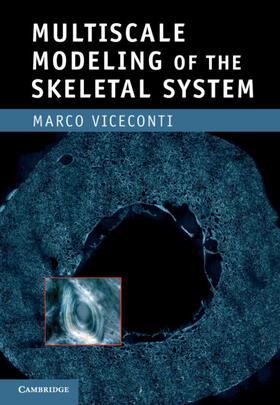 Viceconti |  Multiscale Modeling of the Skeletal System | Buch |  Sack Fachmedien