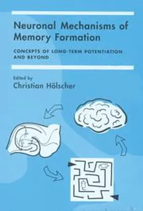 Hölscher |  Neuronal Mechanisms of Memory Formation | Buch |  Sack Fachmedien