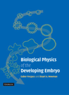 Forgacs / Newman |  Biological Physics of the Developing Embryo | Buch |  Sack Fachmedien