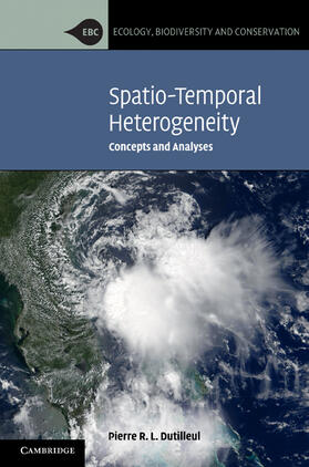 Dutilleul |  SPATIO-TEMPORAL HETEROGENEITY | Buch |  Sack Fachmedien