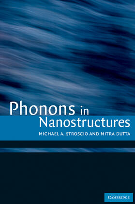 Stroscio / Dutta |  Phonons in Nanostructures | Buch |  Sack Fachmedien