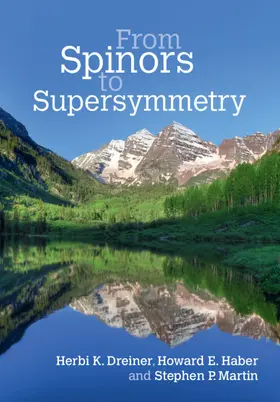 Dreiner / Haber / Martin |  From Spinors to Supersymmetry | Buch |  Sack Fachmedien