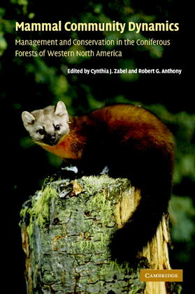 Anthony / Zabel |  Mammal Community Dynamics | Buch |  Sack Fachmedien