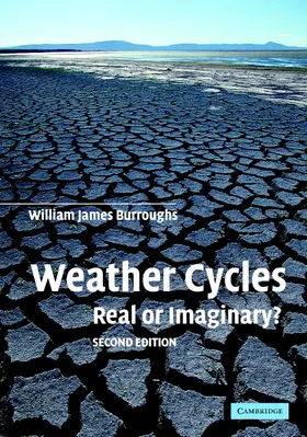 Burroughs |  Weather Cycles | Buch |  Sack Fachmedien