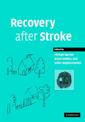 Barnes / Dobkin / Bogousslavsky |  Recovery after Stroke | Buch |  Sack Fachmedien