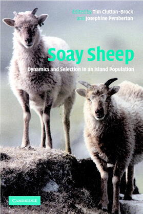 Clutton-Brock / Pemberton |  Soay Sheep | Buch |  Sack Fachmedien