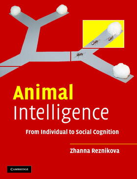 Reznikova |  Animal Intelligence | Buch |  Sack Fachmedien