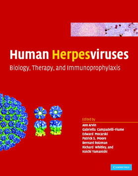 Arvin / Campadelli-Fiume / Mocarski |  Human Herpesviruses | Buch |  Sack Fachmedien