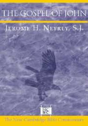 Neyrey |  The Gospel of John | Buch |  Sack Fachmedien