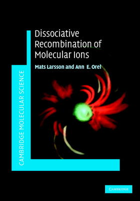 Larsson / Orel |  Dissociative Recombination of Molecular Ions | Buch |  Sack Fachmedien