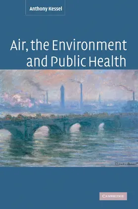 Kessel |  Air, the Environment and Public Health | Buch |  Sack Fachmedien