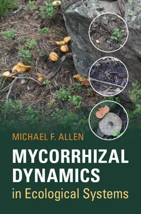 Allen |  Mycorrhizal Dynamics in Ecological Systems | Buch |  Sack Fachmedien