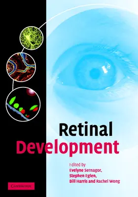 Sernagor / Eglen / Harris |  Retinal Development | Buch |  Sack Fachmedien