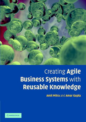 Mitra / Gupta |  Creating Agile Business Systems with Reusable Knowledge | Buch |  Sack Fachmedien