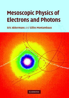 Akkermans / Montambaux |  Mesoscopic Physics of Electrons and Photons | Buch |  Sack Fachmedien