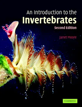 Moore |  An Introduction to the Invertebrates | Buch |  Sack Fachmedien