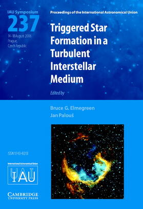Elmegreen / Palous |  Triggered Star Formation in a Turbulent Interstellar Medium | Buch |  Sack Fachmedien