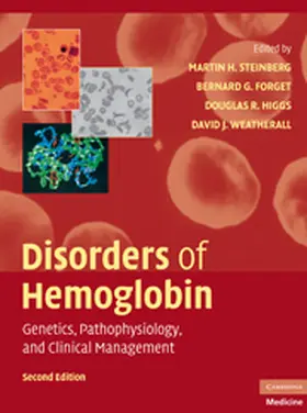 Steinberg / Forget / Higgs |  Disorders of Hemoglobin | Buch |  Sack Fachmedien