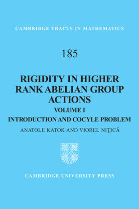Katok / Ni¿ic¿ / Nitica |  Rigidity in Higher Rank Abelian Group Actions | Buch |  Sack Fachmedien