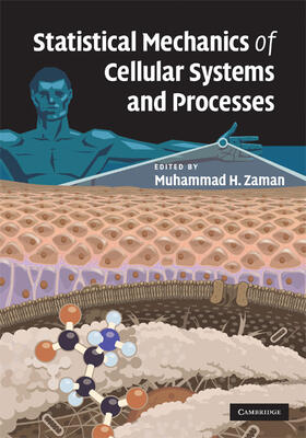 Zaman |  Statistical Mechanics of Cellular Systems and Processes | Buch |  Sack Fachmedien