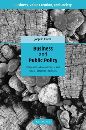 Rivera |  Business and Public Policy | Buch |  Sack Fachmedien