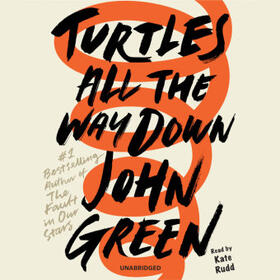 Green |  Turtles All the Way Down | Sonstiges |  Sack Fachmedien