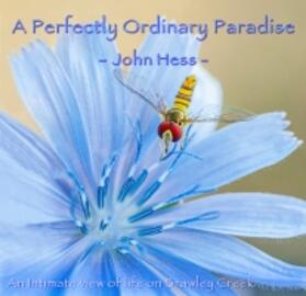 Hess |  A Perfectly Ordinary Paradise: An Intimate View of Life on Brawley Creek | Buch |  Sack Fachmedien