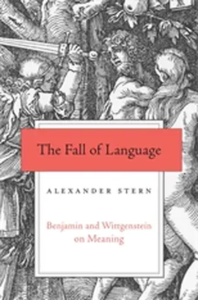 Stern |  The Fall of Language | Buch |  Sack Fachmedien