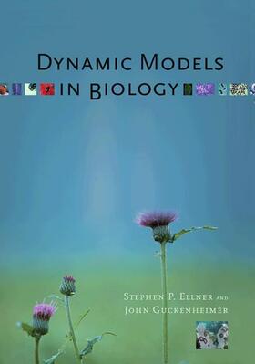 Ellner / Guckenheimer |  Dynamic Models in Biology | Buch |  Sack Fachmedien