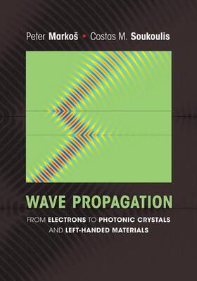 Markos / Soukoulis |  Wave Propagation | Buch |  Sack Fachmedien
