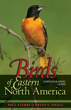 Sterry / Small |  Birds of Eastern North America | Buch |  Sack Fachmedien