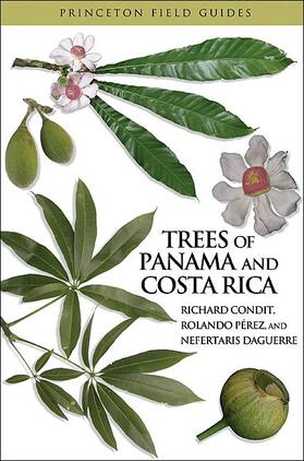 Condit / Perez / Pérez |  Trees of Panama and Costa Rica | Buch |  Sack Fachmedien