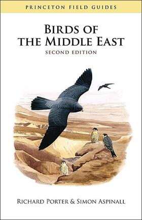 Porter / Aspinall |  Birds of the Middle East | Buch |  Sack Fachmedien